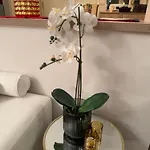 Sea View Penthouse Apartment Obzor