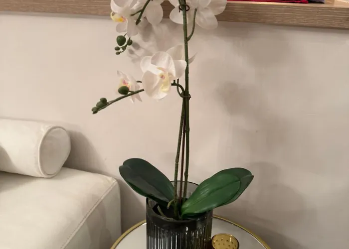 Sea View Penthouse Apartment Obzor